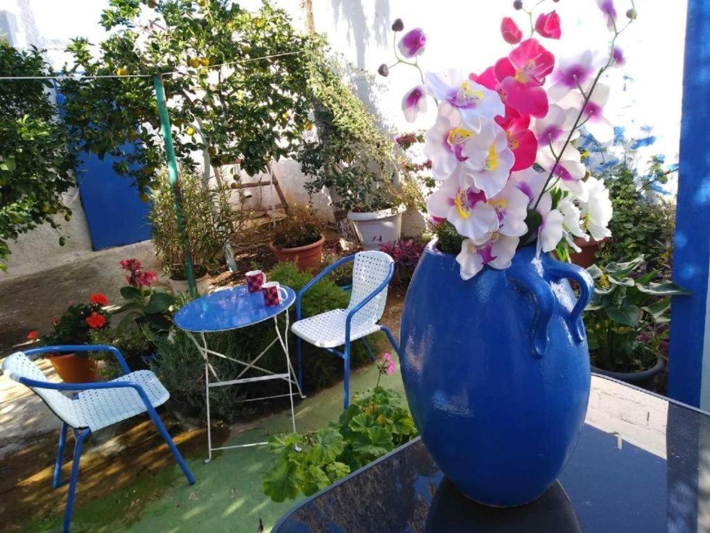 4 Seasons Suites Paradise Near Athens Airport Markópoulon Buitenkant foto